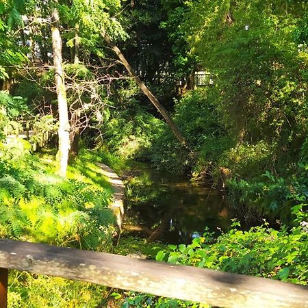 Moderno Y Luminoso 2 Dormitorios Con Todas Las Comodidades En Pontevedra Ciudad Екстериор снимка
